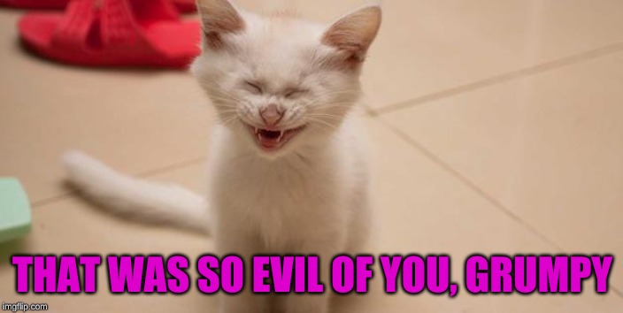 Cat Laughing | THAT WAS SO EVIL OF YOU, GRUMPY | image tagged in cat laughing | made w/ Imgflip meme maker