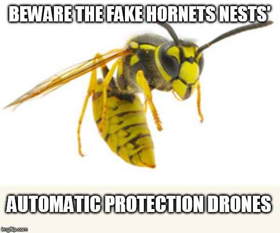 Ride of the Valkyries | BEWARE THE FAKE HORNETS NESTS' AUTOMATIC PROTECTION DRONES | image tagged in hornet | made w/ Imgflip meme maker