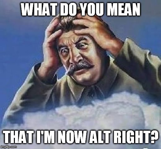 The view from the fringe left. | WHAT DO YOU MEAN; THAT I'M NOW ALT RIGHT? | image tagged in worrying stalin | made w/ Imgflip meme maker