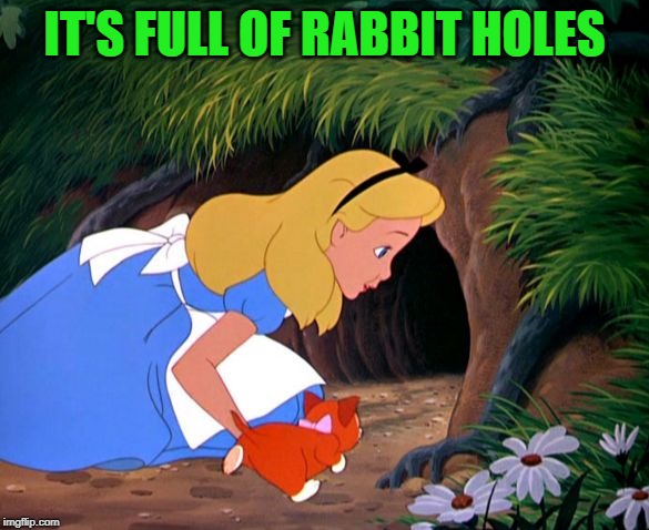 down the rabbit hole shirt