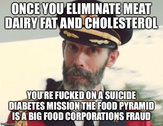 Captain Obvious | ONCE YOU ELIMINATE MEAT DAIRY FAT AND CHOLESTEROL YOU’RE F**KED ON A SUICIDE DIABETES MISSION THE FOOD PYRAMID IS A BIG FOOD CORPORATIONS FR | image tagged in captain obvious | made w/ Imgflip meme maker