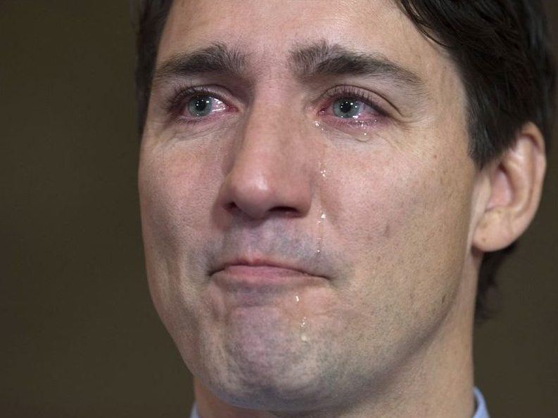 High Quality Trudeau Blank Meme Template