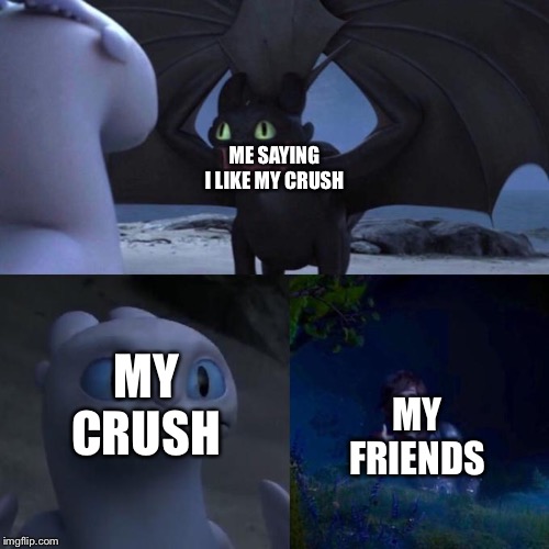 Toothless presents himself | ME SAYING I LIKE MY CRUSH; MY CRUSH; MY FRIENDS | image tagged in toothless presents himself | made w/ Imgflip meme maker