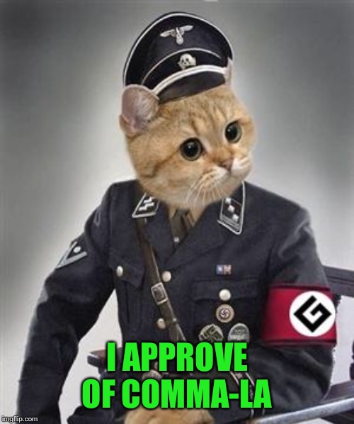 Grammar Nazi Cat | I APPROVE OF COMMA-LA | image tagged in grammar nazi cat | made w/ Imgflip meme maker
