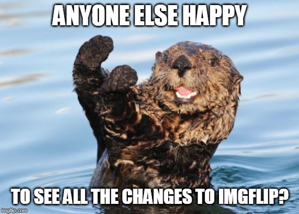 Like the comment timer being gone! | ANYONE ELSE HAPPY; TO SEE ALL THE CHANGES TO IMGFLIP? | image tagged in otter celebration | made w/ Imgflip meme maker
