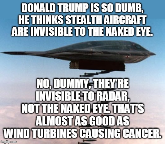 Oh, he actually said it. Yes he did. | DONALD TRUMP IS SO DUMB, HE THINKS STEALTH AIRCRAFT ARE INVISIBLE TO THE NAKED EYE. NO, DUMMY, THEY'RE INVISIBLE TO RADAR, NOT THE NAKED EYE. THAT'S ALMOST AS GOOD AS WIND TURBINES CAUSING CANCER. | image tagged in stealth bomber,trump,invisible,radar | made w/ Imgflip meme maker