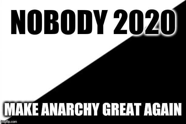 Make Anarchy Great Again | image tagged in election 2020,trump 2020,2020 elections,anarchy,maga,make america great again | made w/ Imgflip meme maker