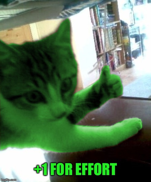 thumbs up RayCat | +1 FOR EFFORT | image tagged in thumbs up raycat | made w/ Imgflip meme maker