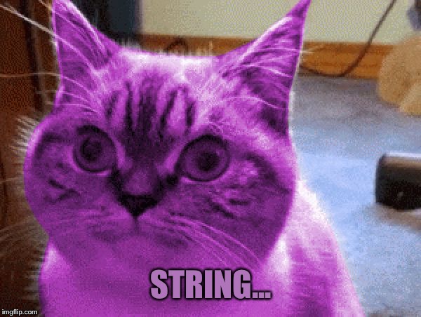 RayCat derp | STRING... | image tagged in raycat derp | made w/ Imgflip meme maker
