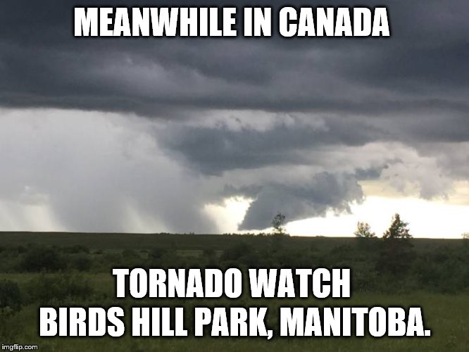 meanwhile in canada | MEANWHILE IN CANADA; TORNADO WATCH; BIRDS HILL PARK, MANITOBA. | image tagged in birds hill park manitoba,tornado,meme,memes,meanwhile in canada | made w/ Imgflip meme maker
