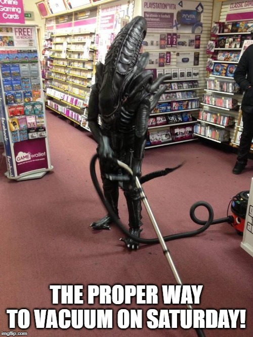 Vacuuming Alien | THE PROPER WAY TO VACUUM ON SATURDAY! | image tagged in vacuuming alien | made w/ Imgflip meme maker