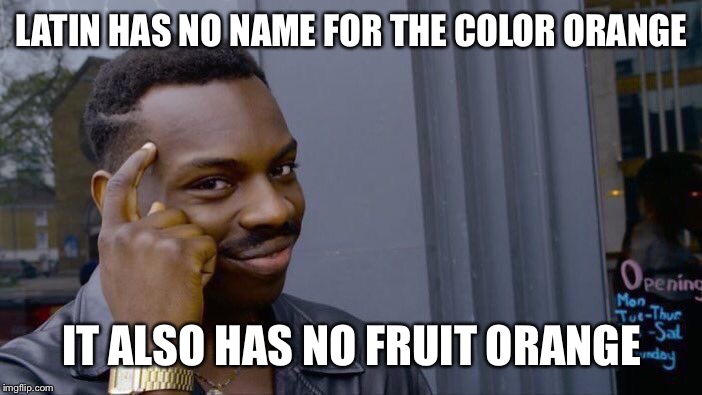 Roll Safe Think About It Meme | LATIN HAS NO NAME FOR THE COLOR ORANGE IT ALSO HAS NO FRUIT ORANGE | image tagged in memes,roll safe think about it | made w/ Imgflip meme maker