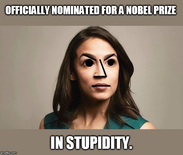 so npc it hurts | OFFICIALLY NOMINATED FOR A NOBEL PRIZE; IN STUPIDITY. | image tagged in npc cortez | made w/ Imgflip meme maker