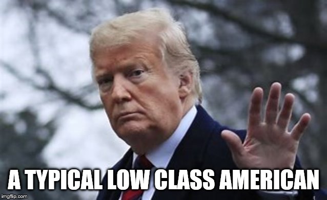 America's Disaster | A TYPICAL LOW CLASS AMERICAN | image tagged in funny memes,donald trump | made w/ Imgflip meme maker