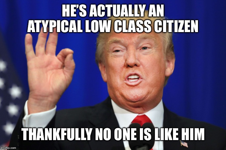 The Best Trump | HE’S ACTUALLY AN ATYPICAL LOW CLASS CITIZEN THANKFULLY NO ONE IS LIKE HIM | image tagged in the best trump | made w/ Imgflip meme maker