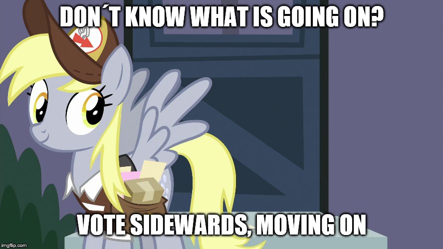DON´T KNOW WHAT IS GOING ON? VOTE SIDEWARDS, MOVING ON | image tagged in derpy | made w/ Imgflip meme maker
