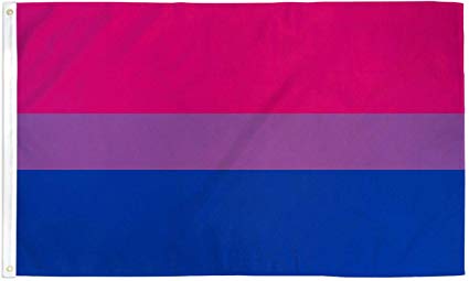 High Quality Bisexual Flag Blank Meme Template