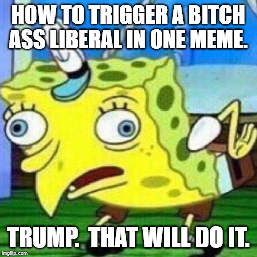 triggerpaul | HOW TO TRIGGER A B**CH ASS LIBERAL IN ONE MEME. TRUMP.  THAT WILL DO IT. | image tagged in triggerpaul | made w/ Imgflip meme maker