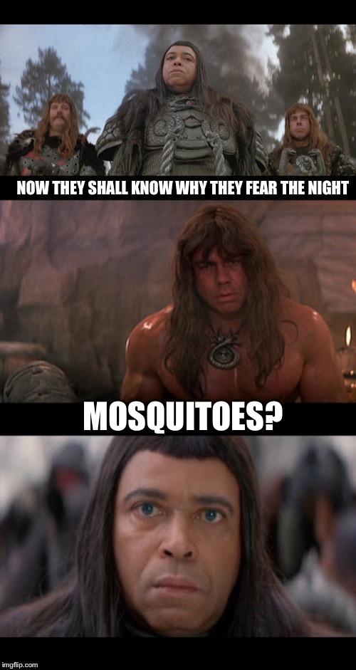 And you thought you were evil | NOW THEY SHALL KNOW WHY THEY FEAR THE NIGHT; MOSQUITOES? | image tagged in buzzzzz,go ahead try to sleep | made w/ Imgflip meme maker