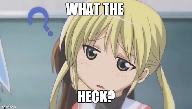 confused anime girl | WHAT THE; HECK? | image tagged in confused anime girl | made w/ Imgflip meme maker