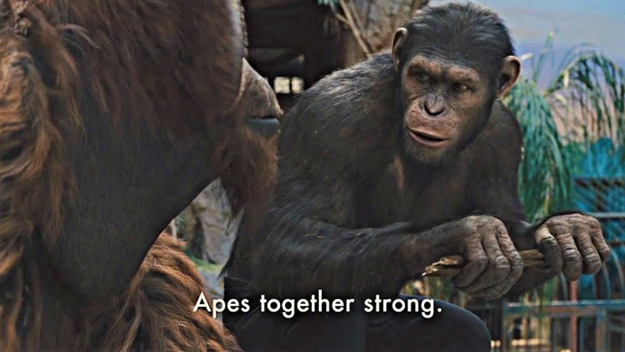 Ape together strong Blank Meme Template