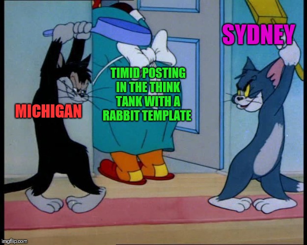 TIMID POSTING IN THE THINK TANK WITH A RABBIT TEMPLATE MICHIGAN SYDNEY | made w/ Imgflip meme maker