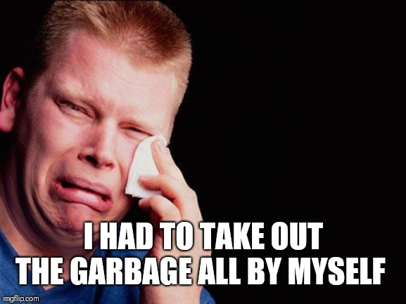 tissue crying man | I HAD TO TAKE OUT THE GARBAGE ALL BY MYSELF | image tagged in tissue crying man | made w/ Imgflip meme maker