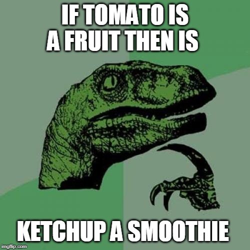 Philosoraptor | IF TOMATO IS A FRUIT THEN IS; KETCHUP A SMOOTHIE | image tagged in memes,philosoraptor | made w/ Imgflip meme maker