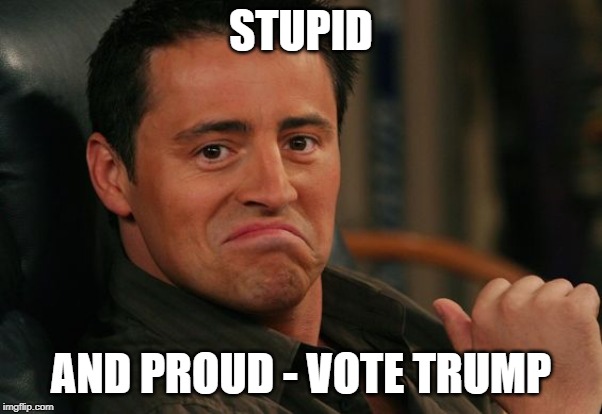 Proud Joey | STUPID AND PROUD - VOTE TRUMP | image tagged in proud joey | made w/ Imgflip meme maker