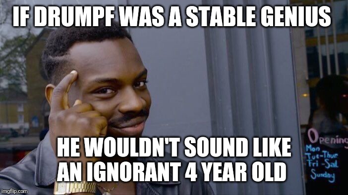 Roll Safe Think About It | IF DRUMPF WAS A STABLE GENIUS; HE WOULDN'T SOUND LIKE AN IGNORANT 4 YEAR OLD | image tagged in memes,roll safe think about it | made w/ Imgflip meme maker