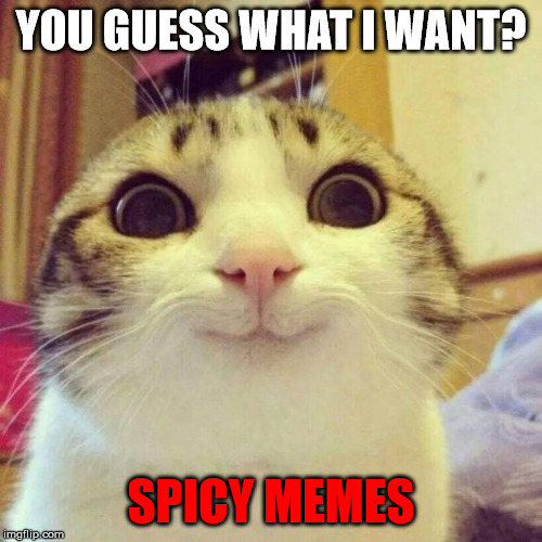 Smiling Cat Meme | YOU GUESS WHAT I WANT? SPICY MEMES | image tagged in memes,smiling cat | made w/ Imgflip meme maker