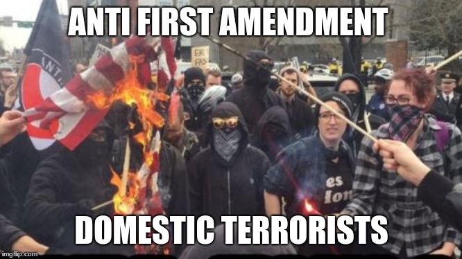Domestic Terrorists are still terrorists | ANTI FIRST AMENDMENT; DOMESTIC TERRORISTS | image tagged in antifa democrat leftist terrorist,democrats the hate party,antifa cowards,know them by their actions,criminals,freedom of speech | made w/ Imgflip meme maker