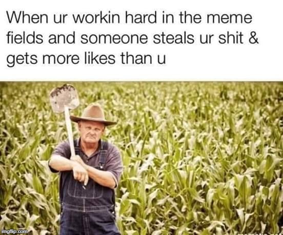 fields | image tagged in fun | made w/ Imgflip meme maker