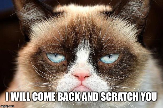 Grumpy Cat Not Amused Meme | I WILL COME BACK AND SCRATCH YOU | image tagged in memes,grumpy cat not amused,grumpy cat | made w/ Imgflip meme maker