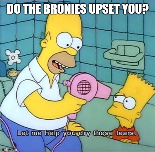 DO THE BRONIES UPSET YOU? | made w/ Imgflip meme maker