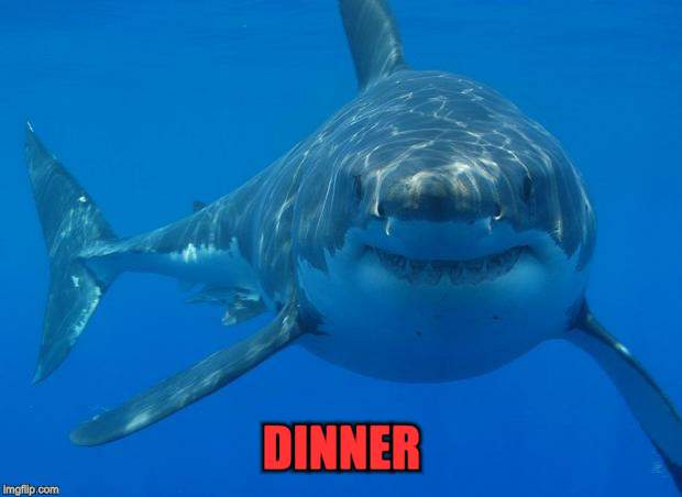 Straight White Shark | DINNER | image tagged in straight white shark | made w/ Imgflip meme maker