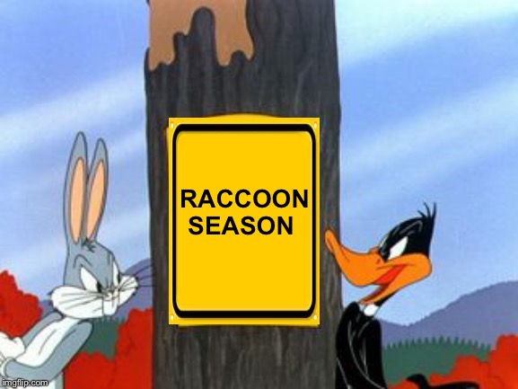 Rabbit Season | RACCOON SEASON | image tagged in rabbit season | made w/ Imgflip meme maker