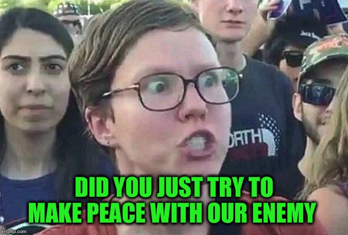 Triggered Liberal | DID YOU JUST TRY TO MAKE PEACE WITH OUR ENEMY | image tagged in triggered liberal | made w/ Imgflip meme maker