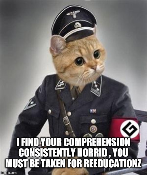 Grammar Nazi Cat | I FIND YOUR COMPREHENSION CONSISTENTLY HORRID , YOU MUST BE TAKEN FOR REEDUCATIONZ | image tagged in grammar nazi cat | made w/ Imgflip meme maker
