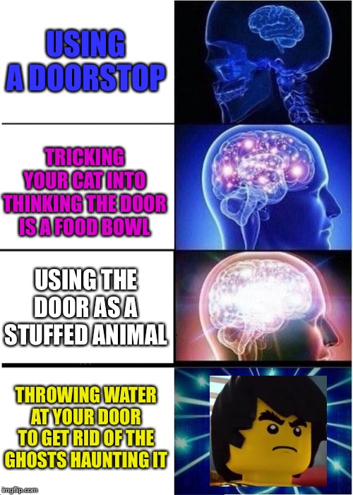 Expanding Brain | USING A DOORSTOP; TRICKING YOUR CAT INTO THINKING THE DOOR IS A FOOD BOWL; USING THE DOOR AS A STUFFED ANIMAL; THROWING WATER AT YOUR DOOR TO GET RID OF THE GHOSTS HAUNTING IT | image tagged in memes,expanding brain | made w/ Imgflip meme maker