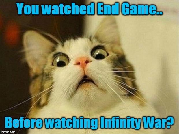 Scared Cat Meme | You watched End Game.. Before watching Infinity War? | image tagged in memes,scared cat | made w/ Imgflip meme maker