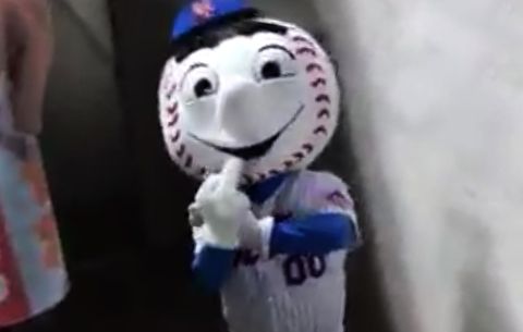 MR MET GOSGER Blank Meme Template