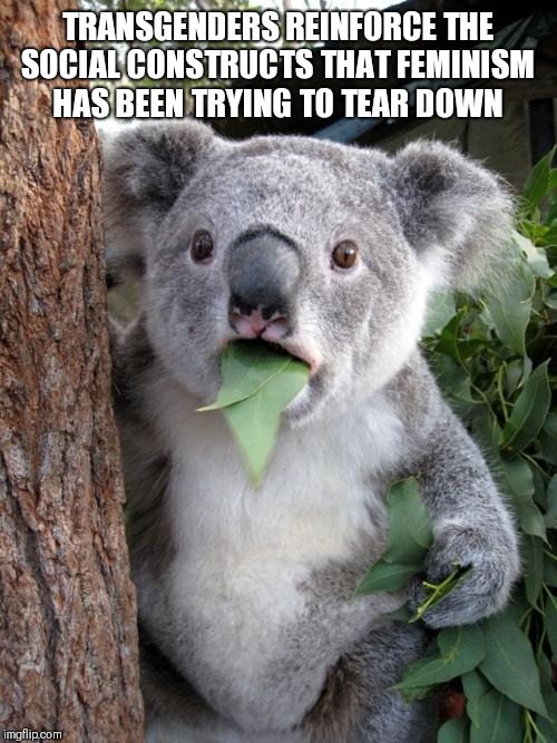 Surprised Koala Meme | TRANSGENDERS REINFORCE THE SOCIAL CONSTRUCTS THAT FEMINISM HAS BEEN TRYING TO TEAR DOWN | image tagged in memes,surprised koala | made w/ Imgflip meme maker