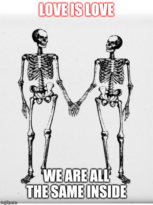 Love is love - skeleton | LOVE IS LOVE; WE ARE ALL THE SAME INSIDE | image tagged in love,lgbt,lgbtq,gay pride,pride | made w/ Imgflip meme maker