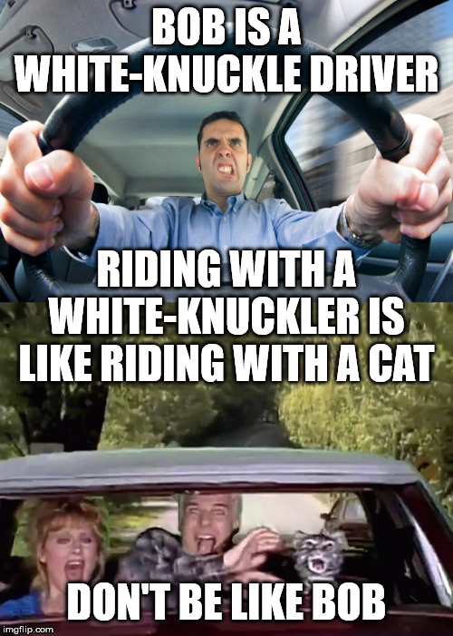 BOB IS A WHITE-KNUCKLE DRIVER; RIDING WITH A WHITE-KNUCKLER IS LIKE RIDING WITH A CAT; DON'T BE LIKE BOB | image tagged in advice,funny,driving,carpooling,cats | made w/ Imgflip meme maker