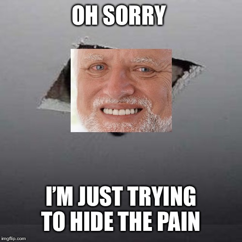 Ceiling Harold | OH SORRY; I’M JUST TRYING TO HIDE THE PAIN | image tagged in memes,ceiling cat | made w/ Imgflip meme maker