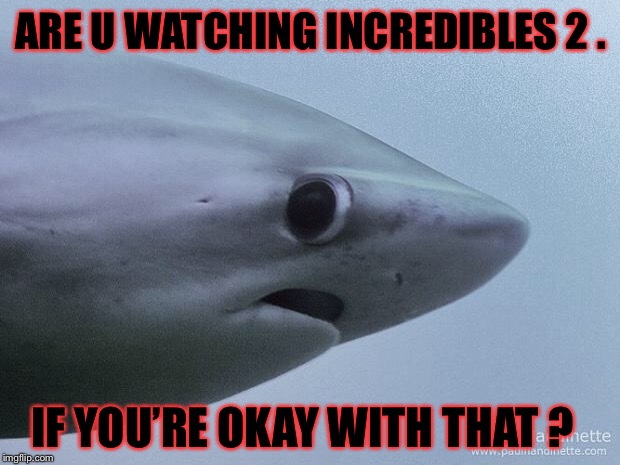 Awkward Shark | ARE U WATCHING INCREDIBLES 2 . IF YOU’RE OKAY WITH THAT ? | image tagged in awkward shark | made w/ Imgflip meme maker