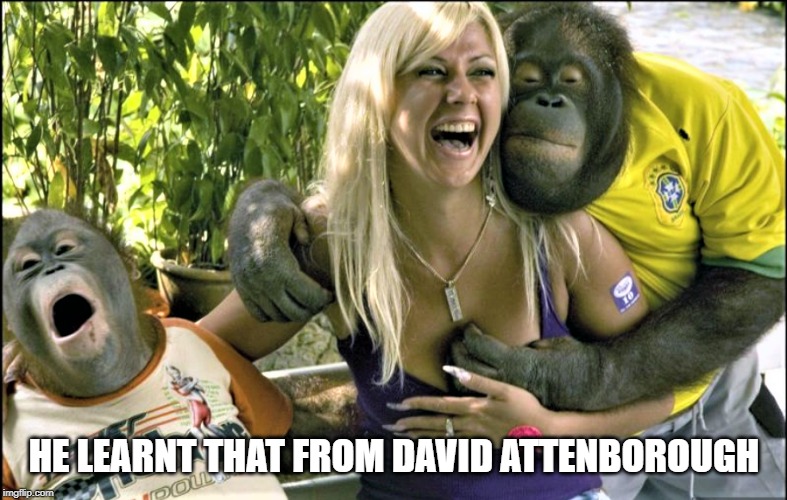 beauty and the breast | HE LEARNT THAT FROM DAVID ATTENBOROUGH | image tagged in orang,cop a feel | made w/ Imgflip meme maker