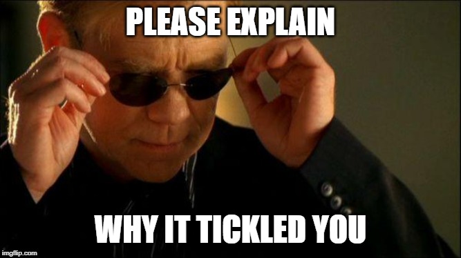 horatio csi | PLEASE EXPLAIN WHY IT TICKLED YOU | image tagged in horatio csi | made w/ Imgflip meme maker