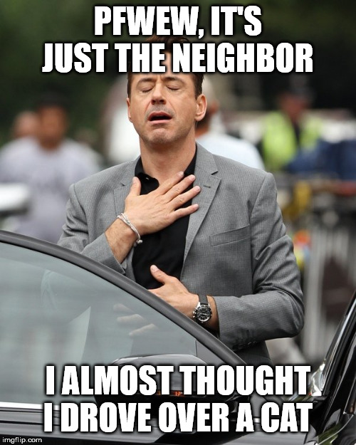 Somehow I'm worried about this relief | PFWEW, IT'S JUST THE NEIGHBOR; I ALMOST THOUGHT I DROVE OVER A CAT | image tagged in relief | made w/ Imgflip meme maker